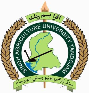 SAU logo